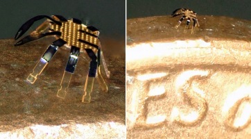 A bolhánál is kisebb robotrákokkal kísérleteznek, ami több szektorban is a segítségünkre lehet